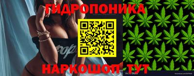 каннабис Будённовск