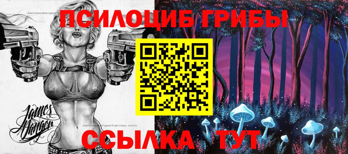 Псилоцибиновые грибы Psilocybine cubensis Елизово